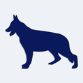 Samolepka pes v aut - silueta vlk