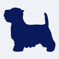 Samolepka pes v aut - silueta jorkrsk terir