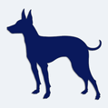 Samolepka pes v aut - silueta toy manchester terrier