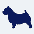 Samolepka pes v aut - silueta norwich terir