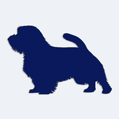 Samolepka pes v aut - silueta norfolk terir