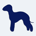 Samolepka pes v aut - silueta bedlington terir