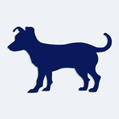 Samolepka pes v aut - silueta jack russel terrier