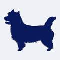 Samolepka pes v aut - silueta cairn terir