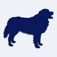 Nálepka pes v autě - silueta Bernský salašnický