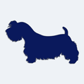 Samolepka pes v autě - silueta sealyhamský teriér